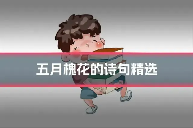 五月槐花的诗句精选