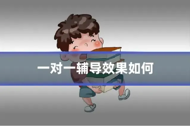 一对一辅导效果如何