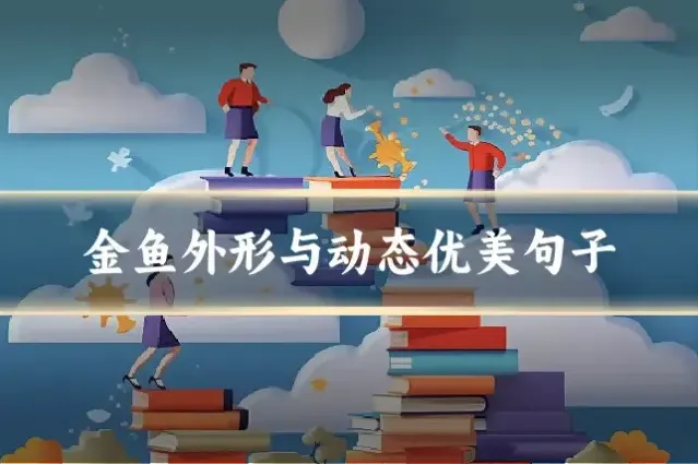 金鱼外形与动态优美句子