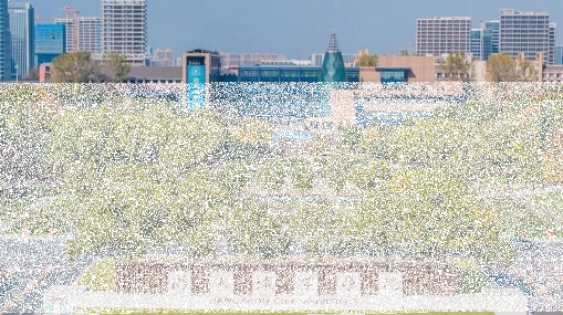 学院