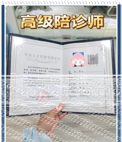 陪诊