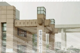 专业