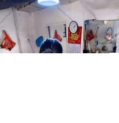 理发