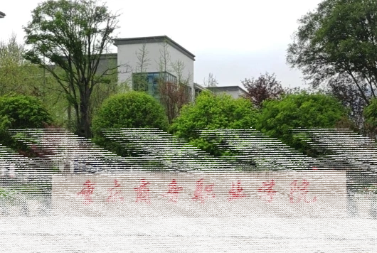 教师
