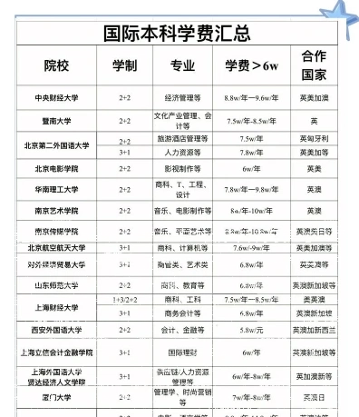 国际本科