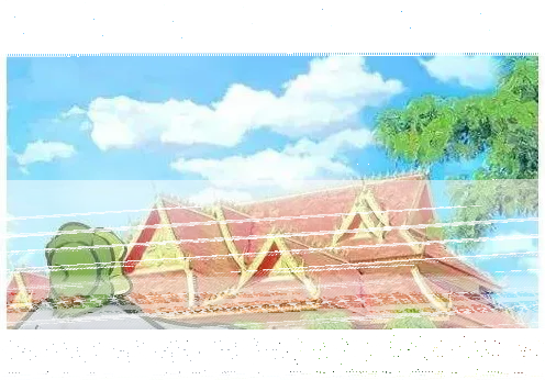 旅行青蛙明信片