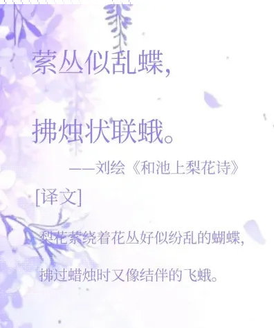 中家