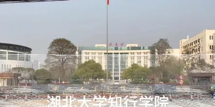 学院