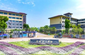 专任教师