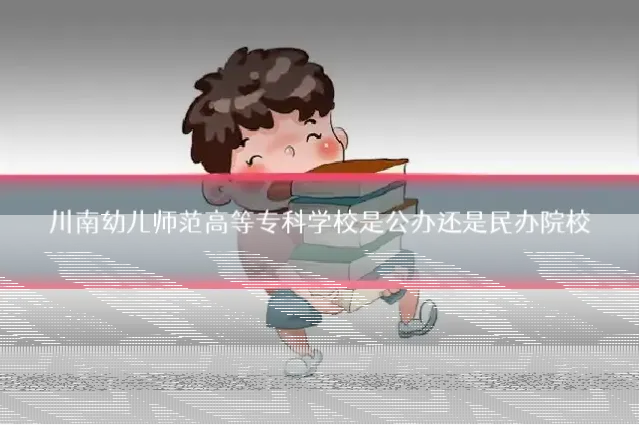 川南幼儿师范高等专科学校是公办还是民办院校