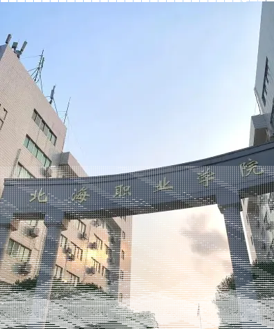 学院