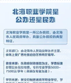 实训