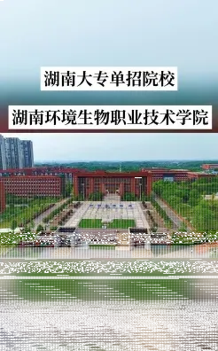 学院