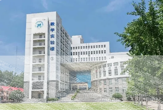 学校