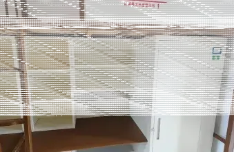 学校