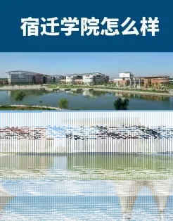 学校