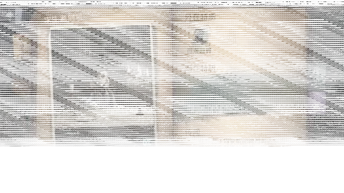第五人格评测