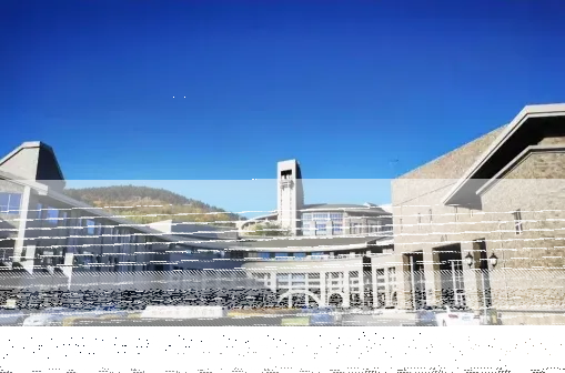 专业