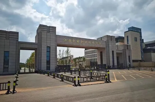 实训