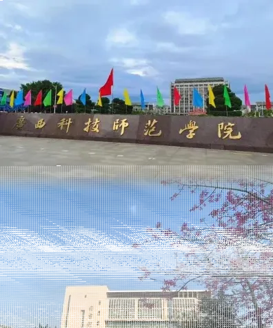 专任教师