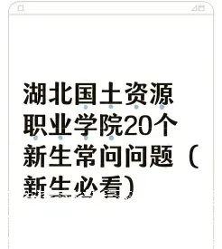 学校