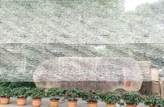 中国美术学院
