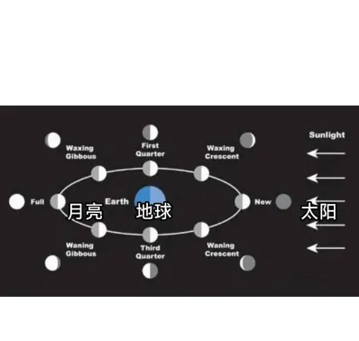 地球和月球