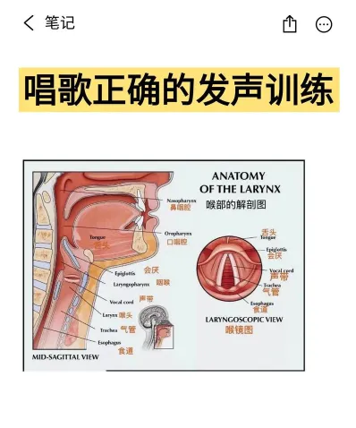 唱歌