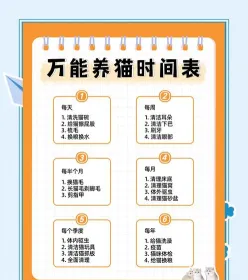 训练