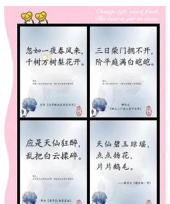 美的