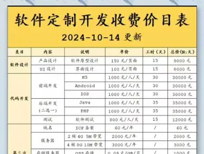 软件工程师
