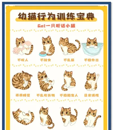 指令