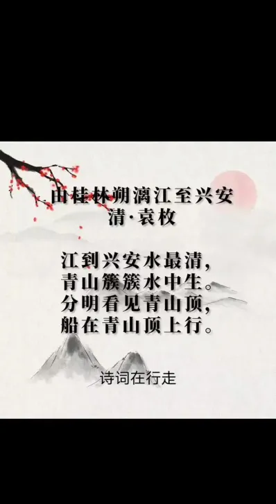 青罗