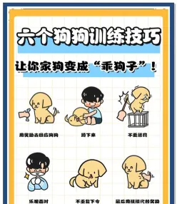 训练