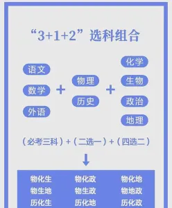 选科