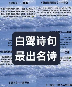 海鸟