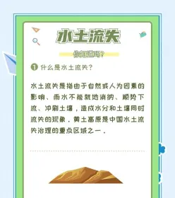 植被