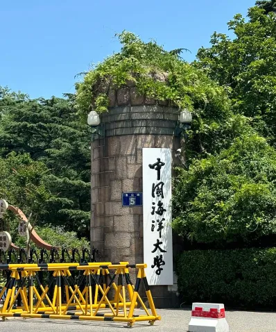 大学