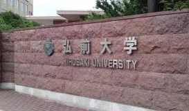 弘大