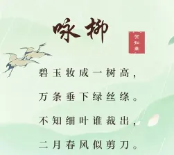 杨柳