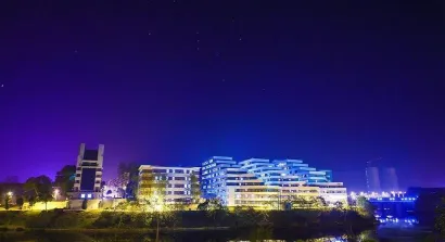 综合性大学