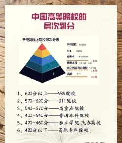公立大学
