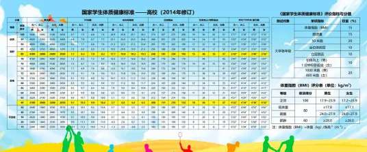 体测