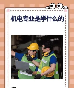 实训