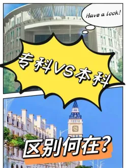 学位证书