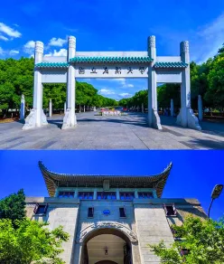 樱顶