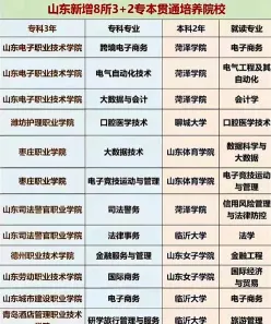 山东职业学院