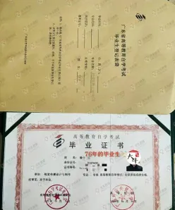 大专