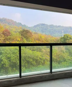选择