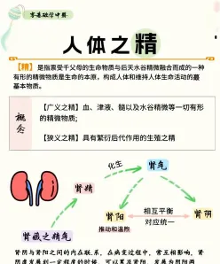 中医药大学